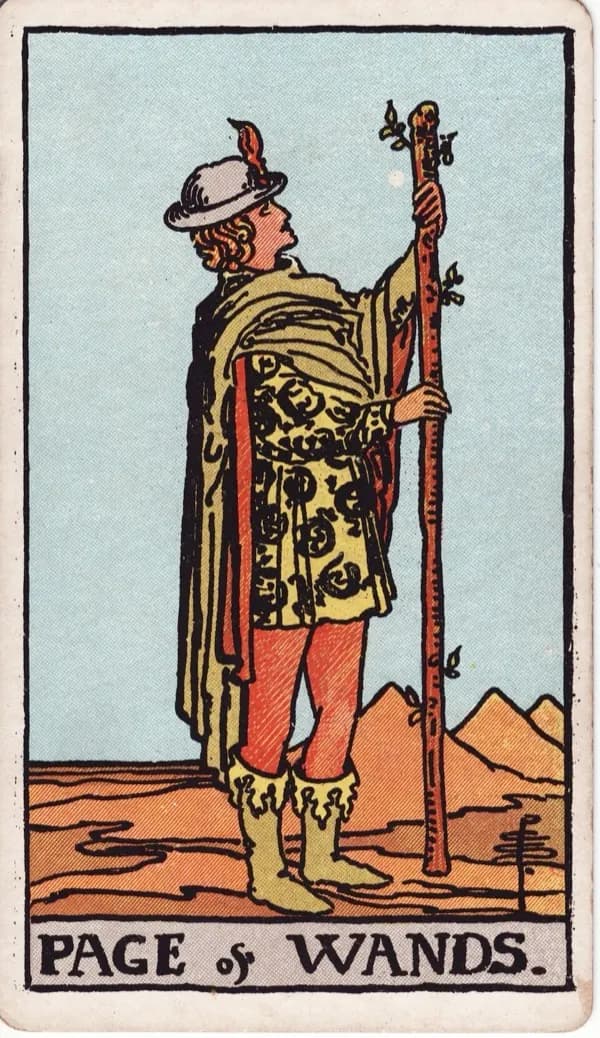 Page of Wands tarot card
