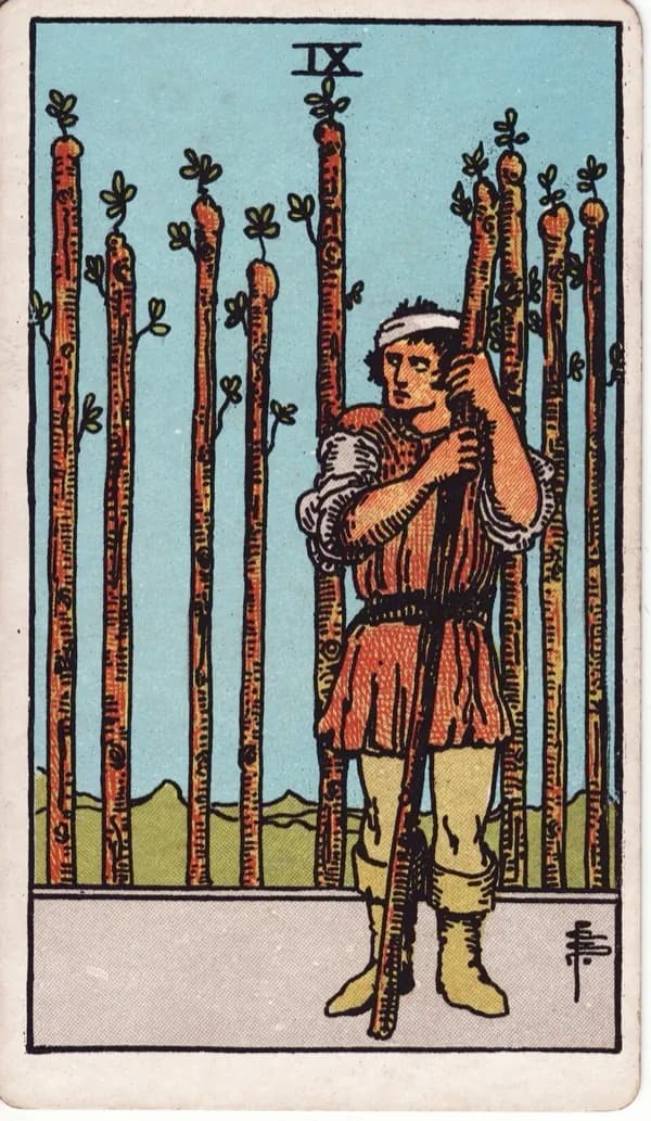 Nine of Wands tarot card